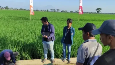 Mahasiswa KKN-T 99 Undip Ukur pH Tanah Demi Penanaman Bawang Merah Lebih Optimal