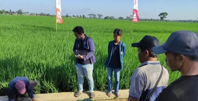 Mahasiswa KKN-T 99 Undip Ukur pH Tanah Demi Penanaman Bawang Merah Lebih Optimal Mahasiswa KKN-T 99 Undip Ukur pH Tanah Demi Penanaman Bawang Merah Lebih Optimal