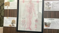 Pengobatan Tradisional: Relevan atau Justru Ditinggalkan? Pengobatan Tradisional: Relevan atau Justru Ditinggalkan?