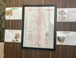 Pengobatan Tradisional: Relevan atau Justru Ditinggalkan?