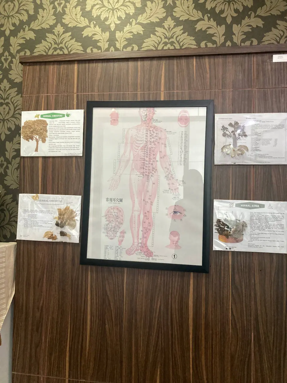 Pengobatan Tradisional: Relevan atau Justru Ditinggalkan? Pengobatan Tradisional: Relevan atau Justru Ditinggalkan?