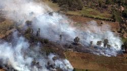 Pembukaan Lahan Gambut dengan Cara Membakar Dinilai Berbahaya: Ancaman Ekologis Lebih Besar dari Manfaatnya