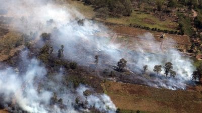 Pembukaan Lahan Gambut dengan Cara Membakar Dinilai Berbahaya: Ancaman Ekologis Lebih Besar dari Manfaatnya
