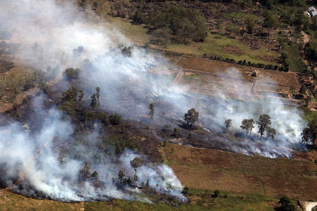 Pembukaan Lahan Gambut dengan Cara Membakar Dinilai Berbahaya: Ancaman Ekologis Lebih Besar dari Manfaatnya