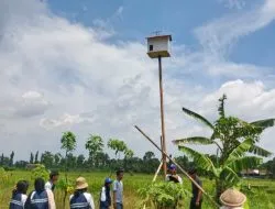 Jaga Keberlanjutan Program Rubuha, Mahasiswa KKN Undip Serahkan Panduan Perawatan dan Buku Monitoring untuk Petani Desa Mutihan