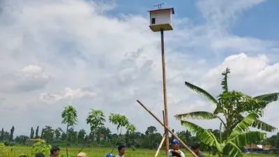 Jaga Keberlanjutan Program Rubuha, Mahasiswa KKN Undip Serahkan Panduan Perawatan dan Buku Monitoring untuk Petani Desa Mutihan