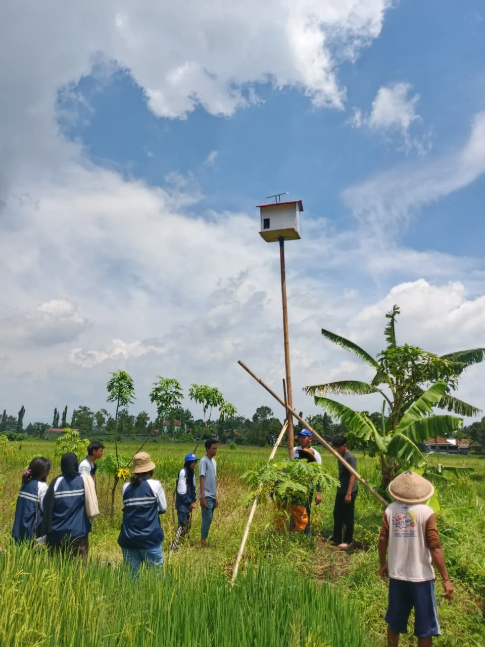 Jaga Keberlanjutan Program Rubuha, Mahasiswa KKN Undip Serahkan Panduan Perawatan dan Buku Monitoring untuk Petani Desa Mutihan