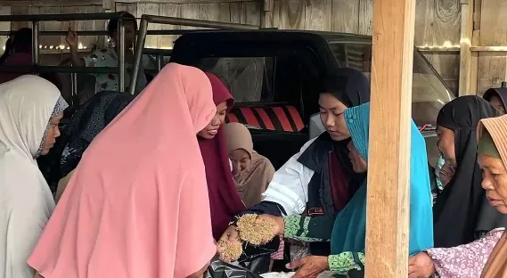Menuju Pertanian Berkelanjutan, Mahasiswa KKN Undip Edukasi Pemanfaatan Bonggol Jagung jadi Pupuk Kompos di Desa Ngargotirto