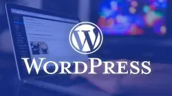 Tantangan dan Risiko Pengembangan Website yang Hanya Mengandalkan WordPress Tantangan dan Risiko Pengembangan Website yang Hanya Mengandalkan WordPress