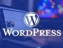 Tantangan dan Risiko Pengembangan Website yang Hanya Mengandalkan WordPress